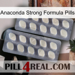 Anaconda Strong Formula Pills 07